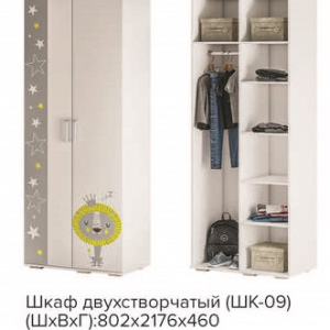 Шкаф 2-х створчатый ''Трио. Звёздное детство'' ШК-09