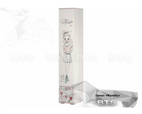 Пенал закрытый ''Малибу'' ПН-11