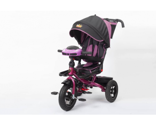 Велосипед 3-х колёсный ''VIP'' Фиолетовый